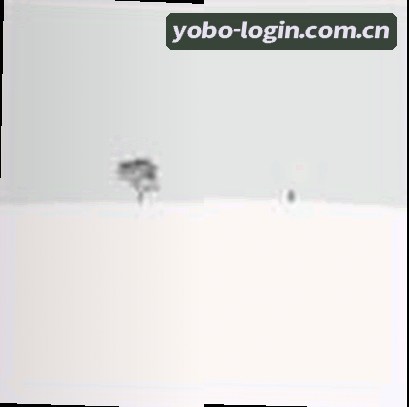 赵博士